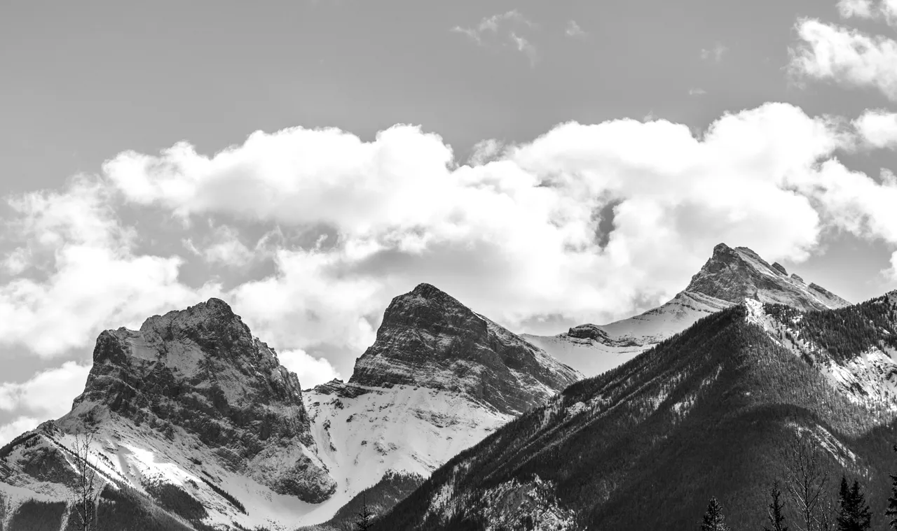 88D759AC-05ED-47B3-ACB3-91E6E39274E3.jpeg