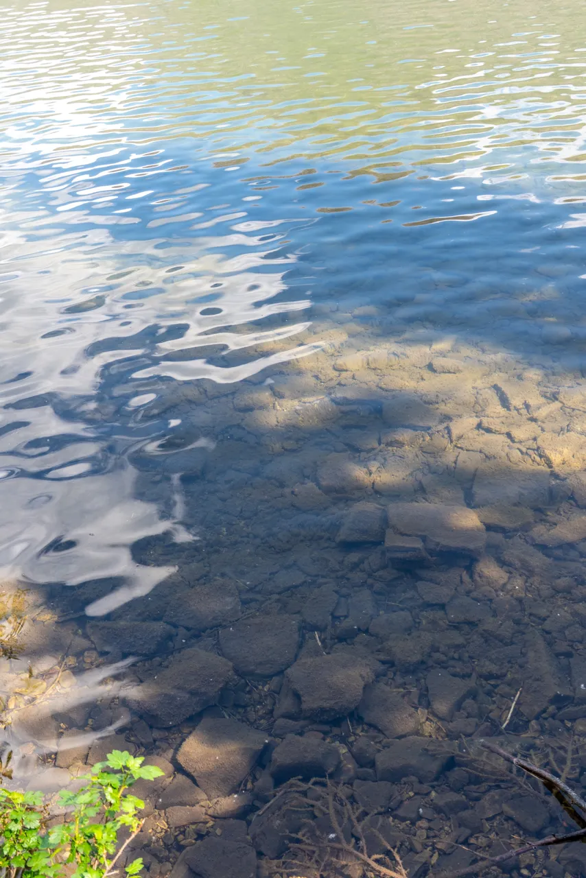 DSC07999.jpeg