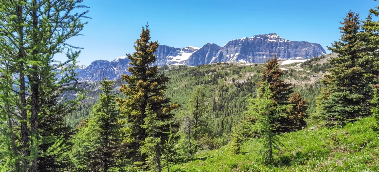7D242664-F033-4E5E-AC30-969D545ABBDB.jpeg