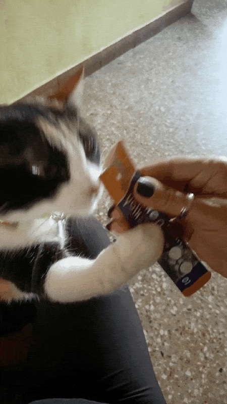 bb8e4f25a8ed4d299cd2f196eee38f4d.gif