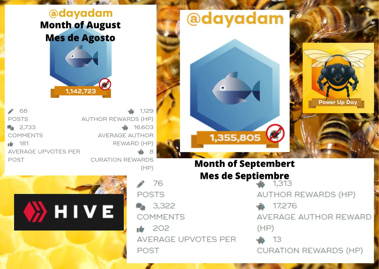10.png