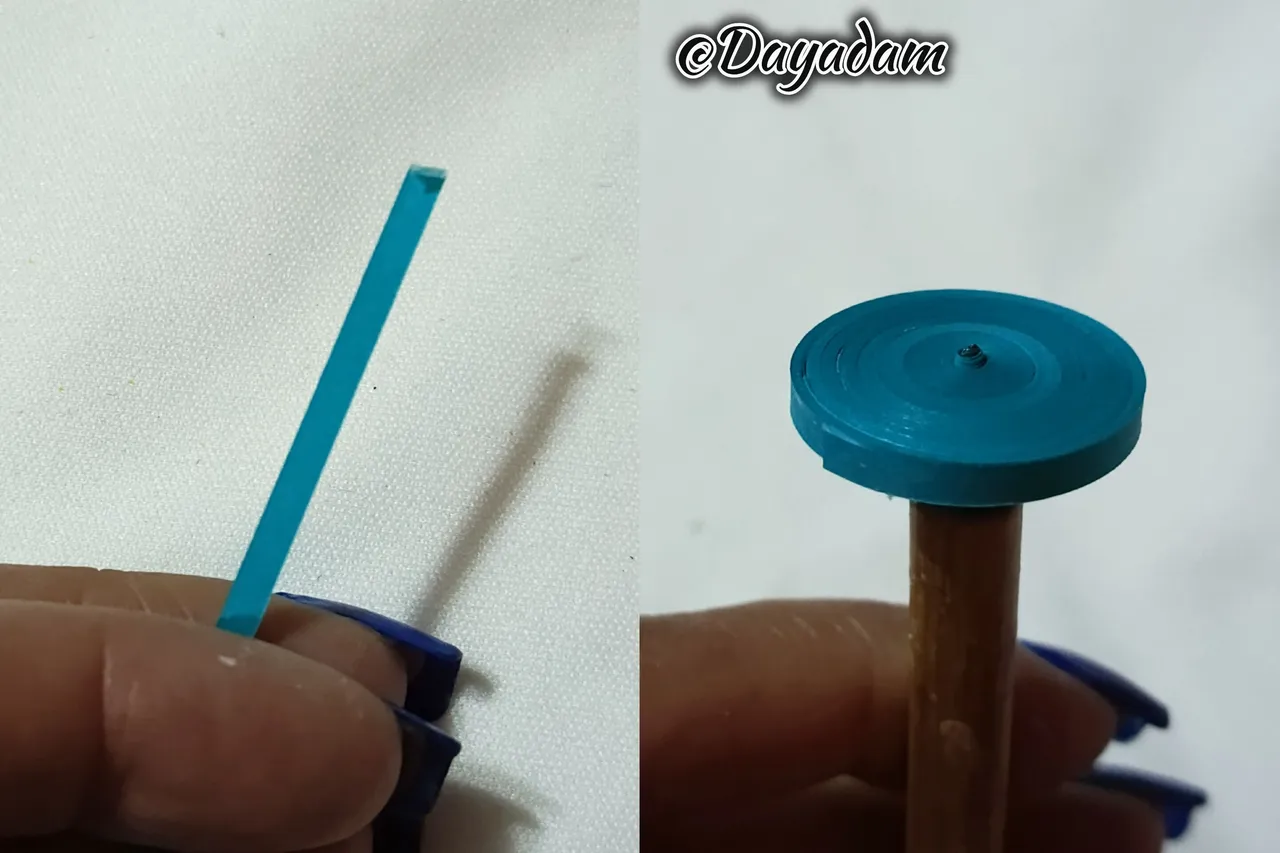 1000037506.jpg