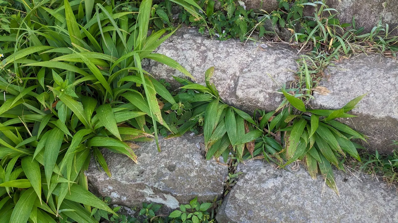 PXL_20230909_214609345.jpg