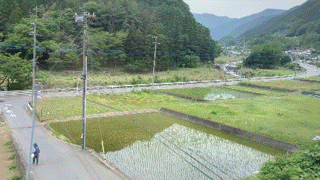 1000023619.gif