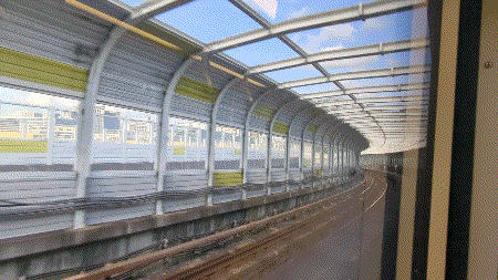 1000015037.gif