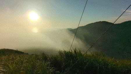 videotogif_2023.09.29_07.39.43.gif