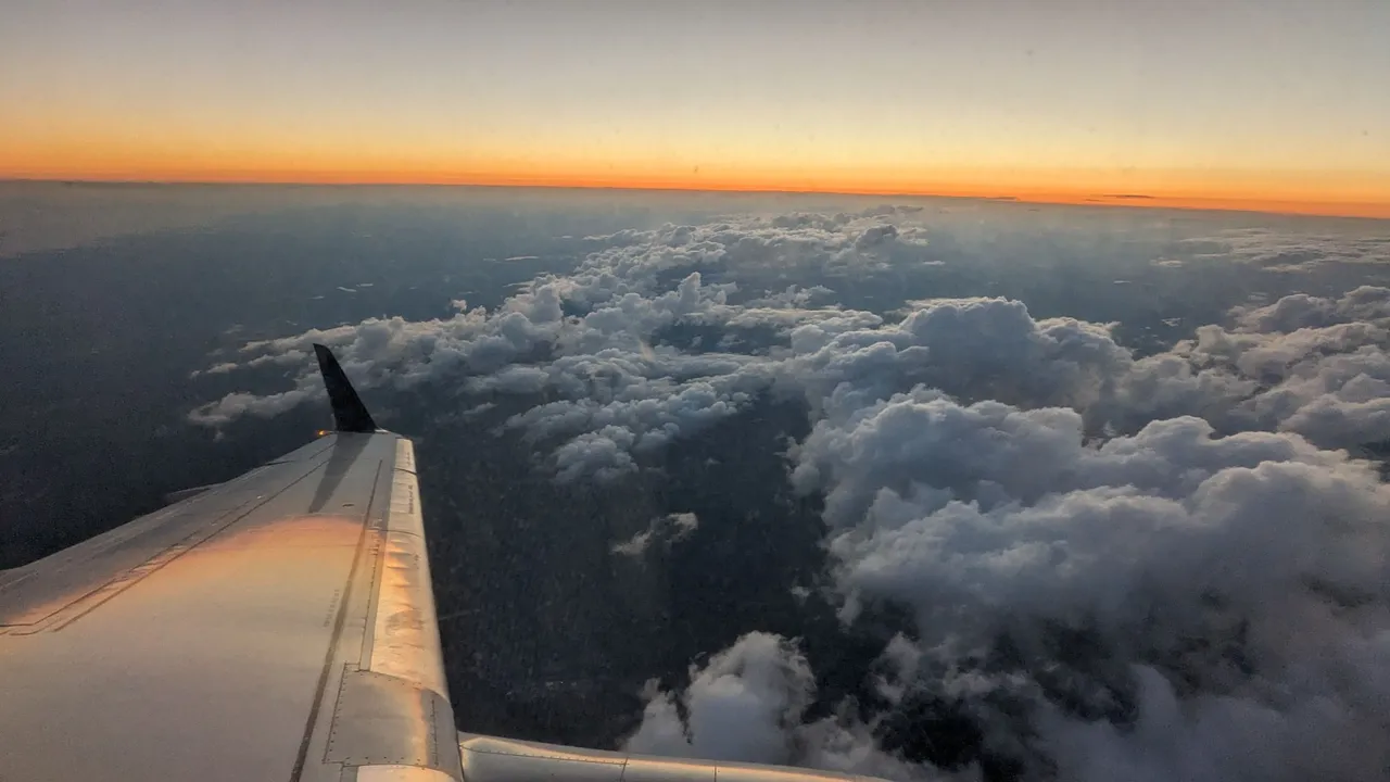 PXL_20230818_235526240.jpg