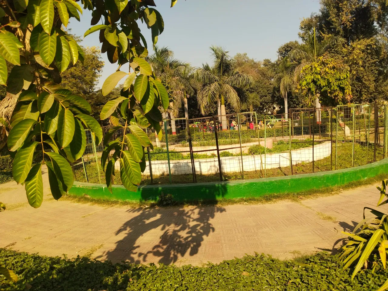 1000262005.jpg