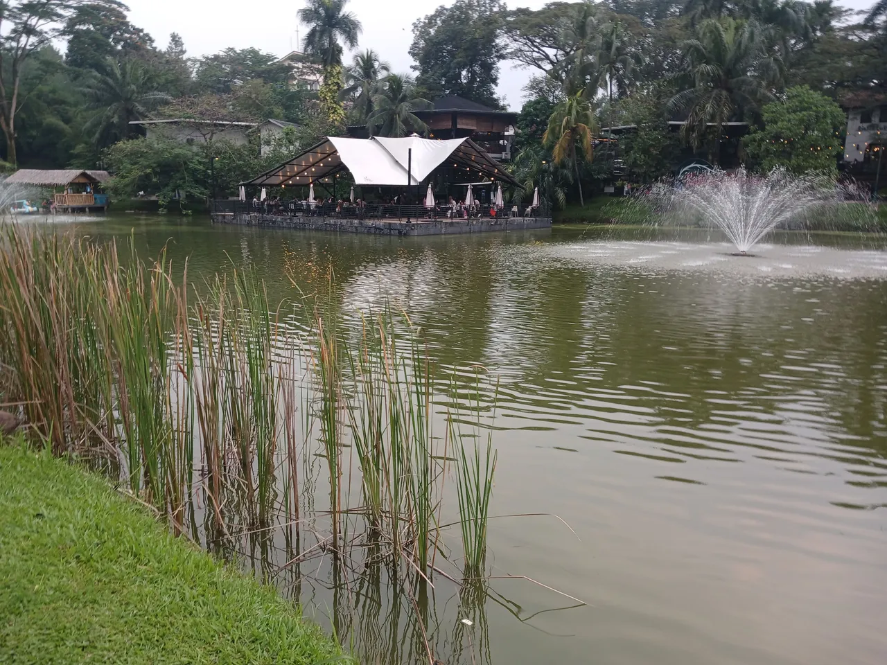 20250627_164842.jpg