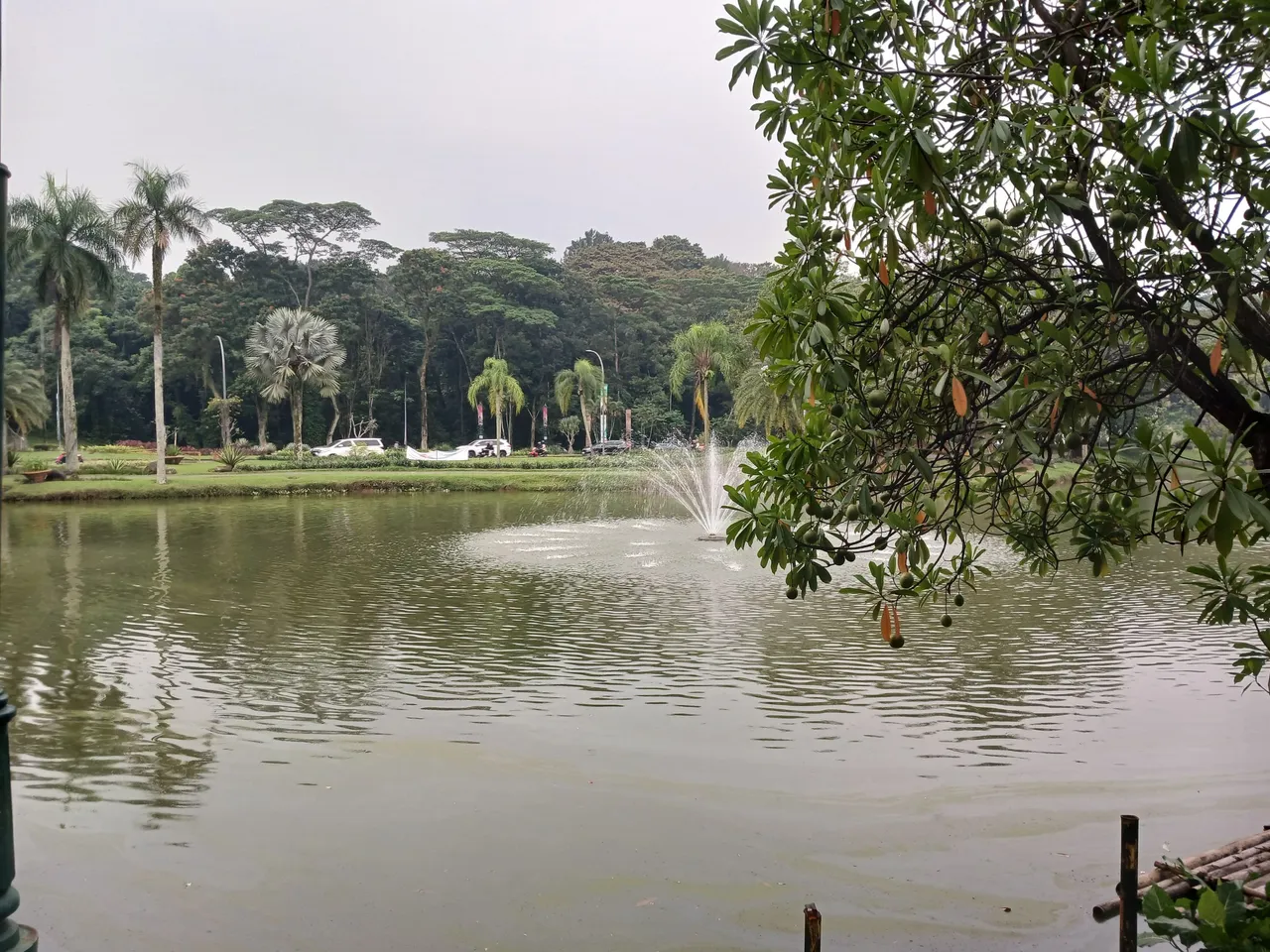20250627_164241.jpg