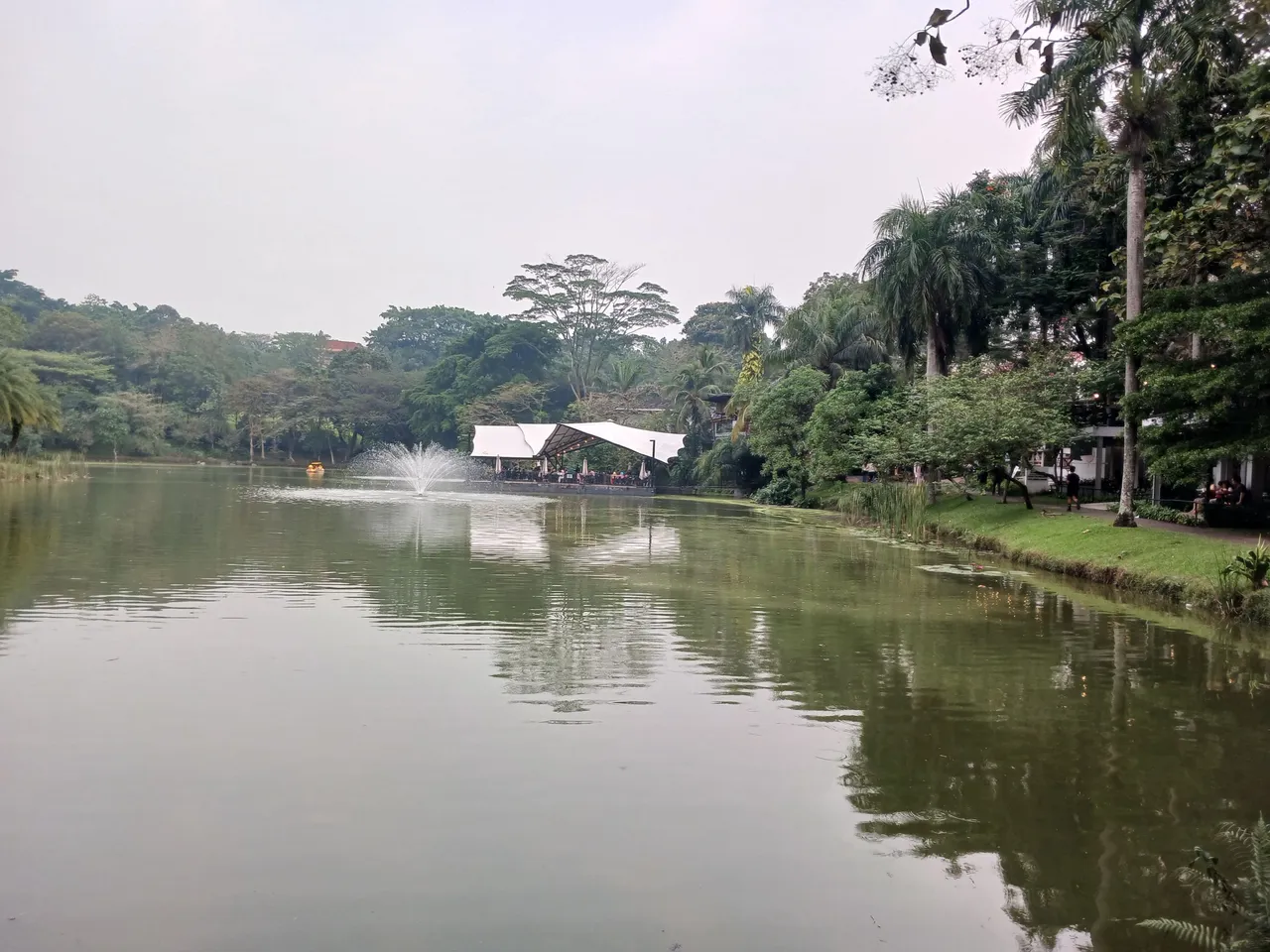 20250627_164441.jpg