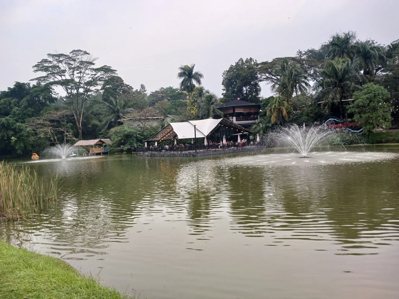 20250627_164830.jpg