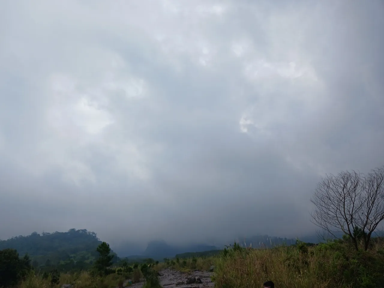 20250617_135539.jpg