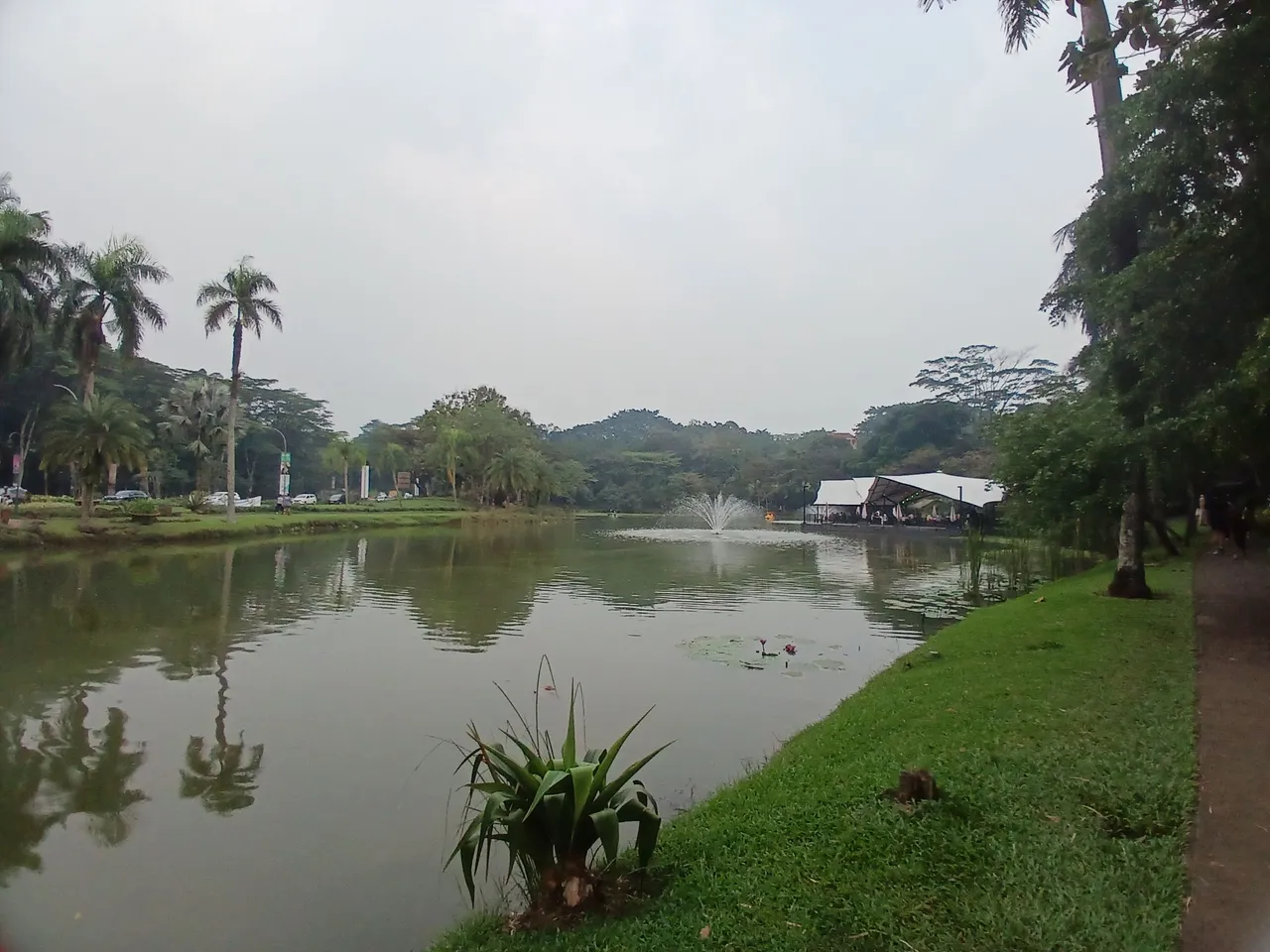 20250627_164359.jpg