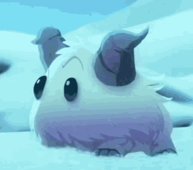 poro-stare.gif