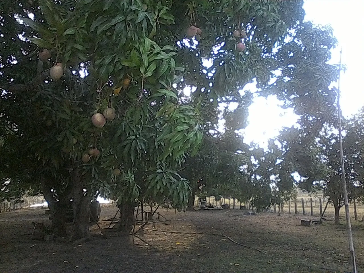IMG_20220414_063649.jpg