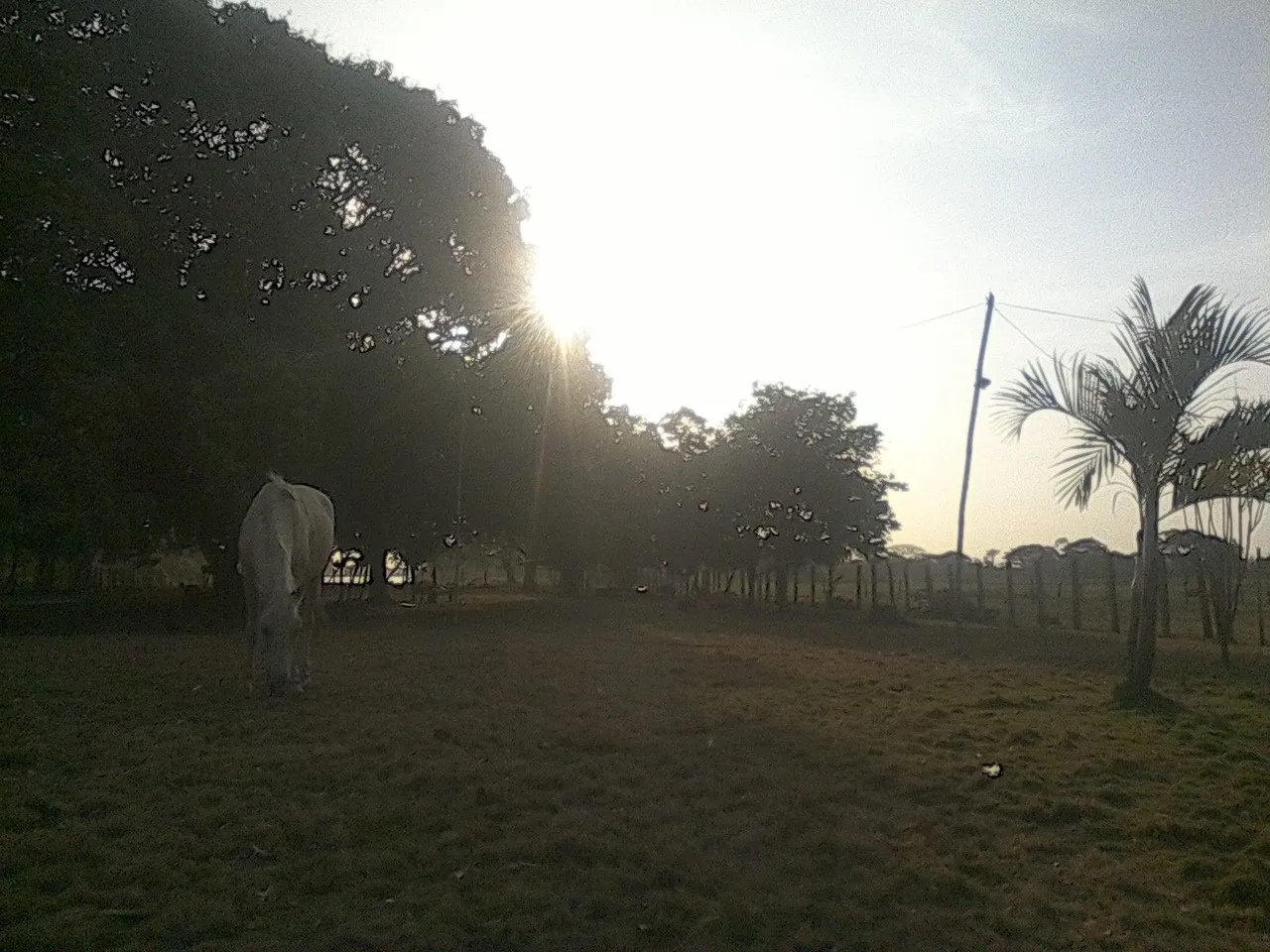 IMG_20220414_065332.jpg