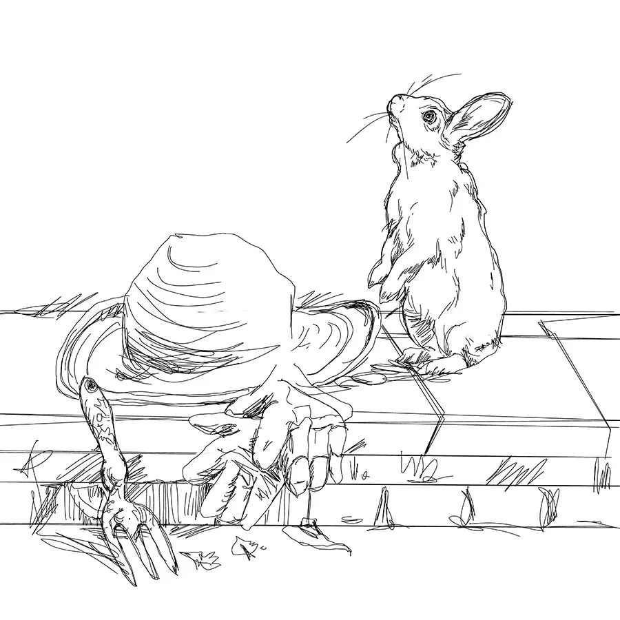 rabbitterrace1Sketch2.jpg