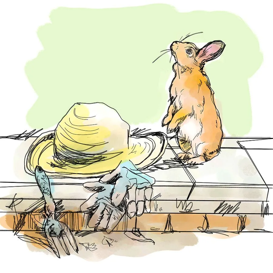 rabbitterrace1Sketch3.jpg