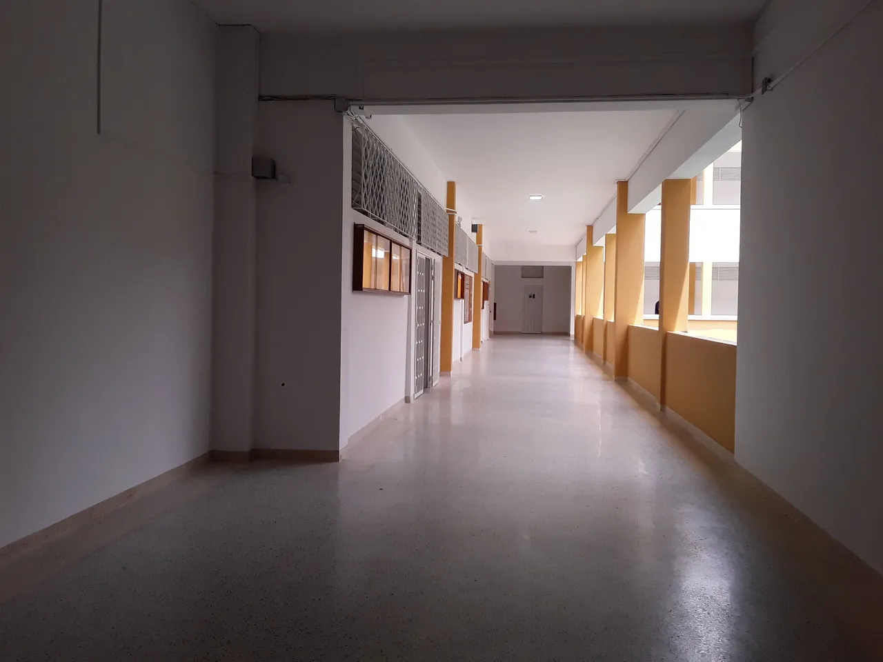 20250407_115226.jpg