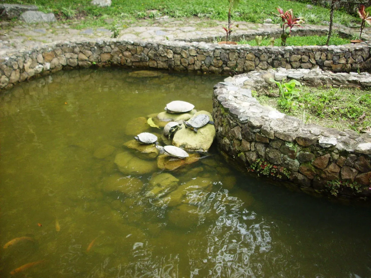 105.JPG