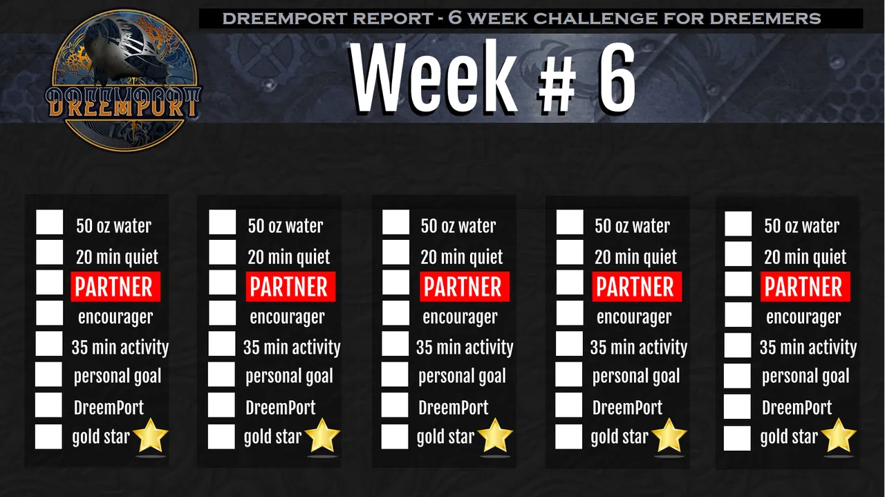 dreemport report 6n7.png