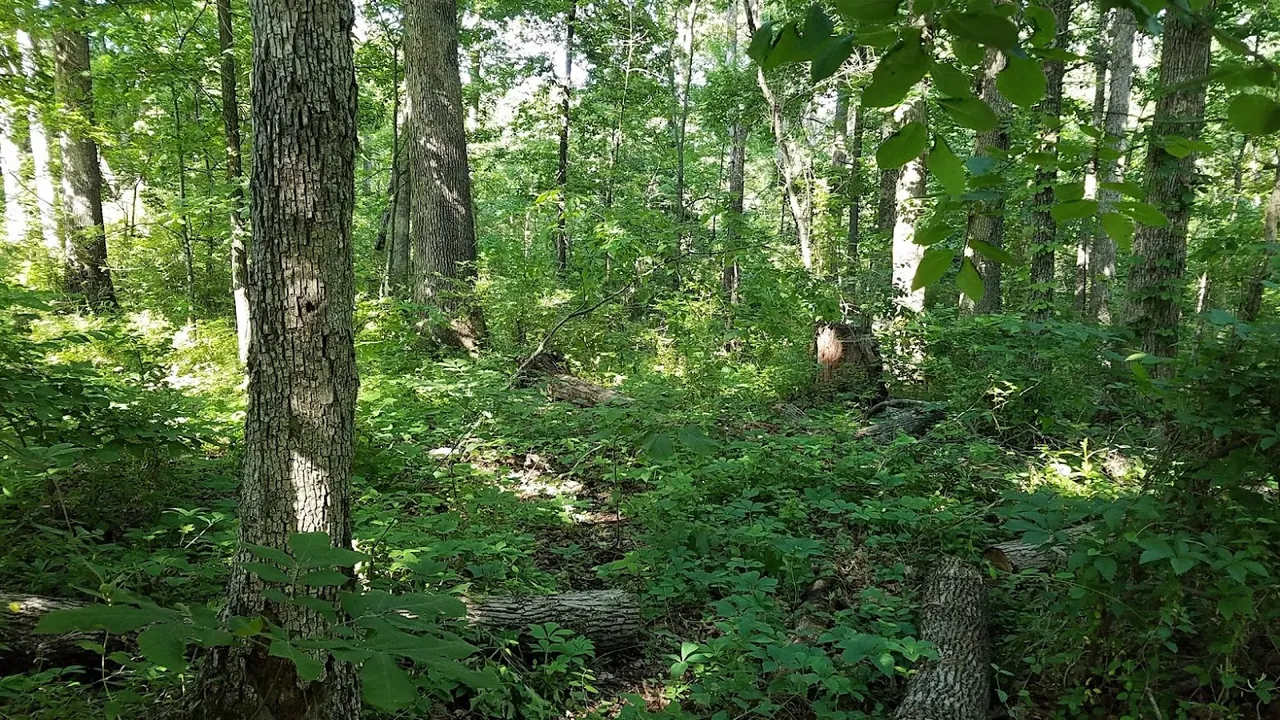 20180525_093432.jpg
