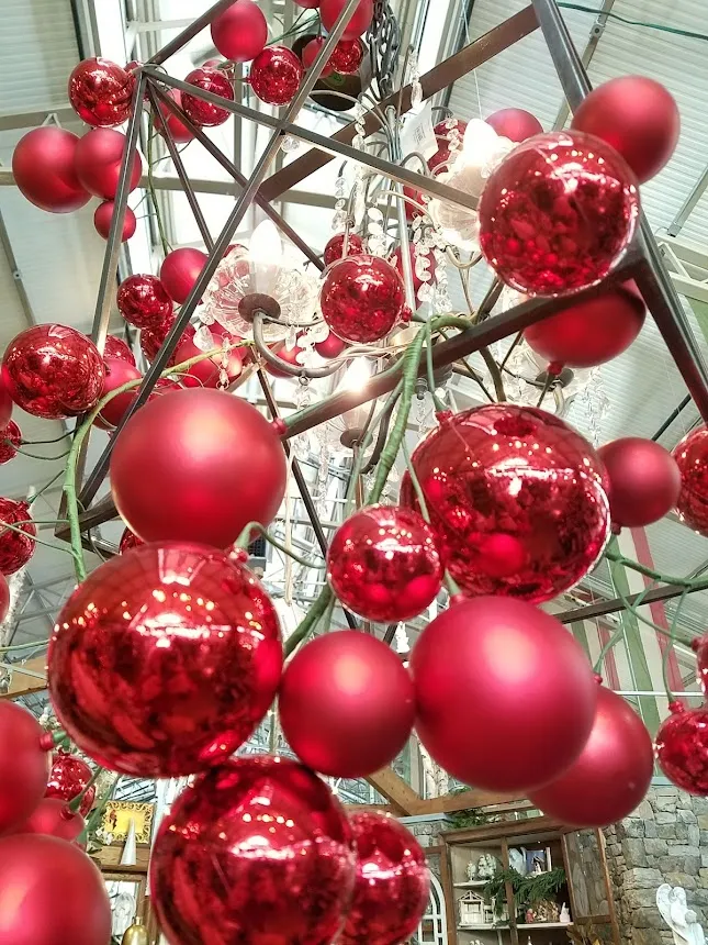 20181205_140540.jpg