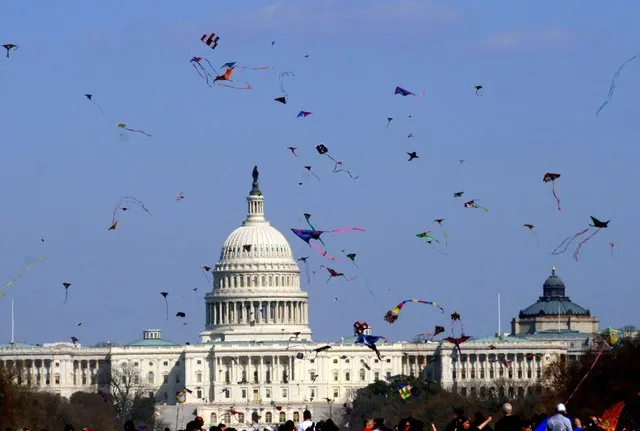 kite festival washington, dc.jpg