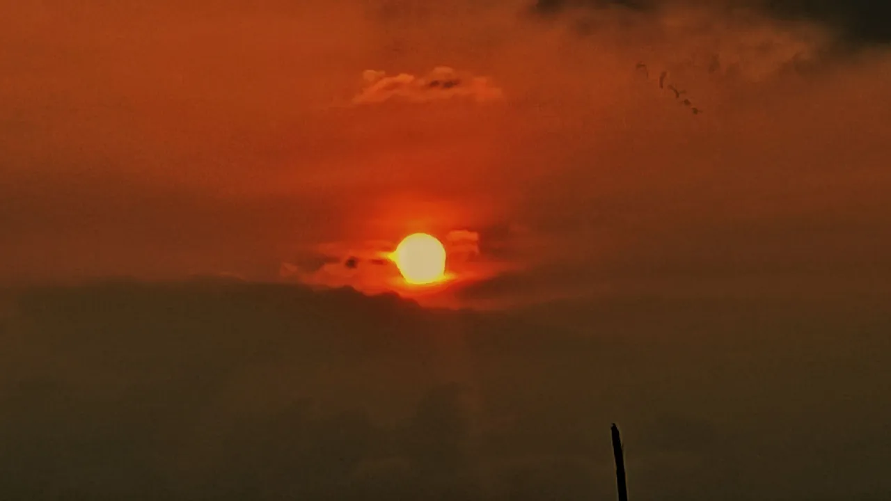 IMG_20230417_181415_1-01.jpeg