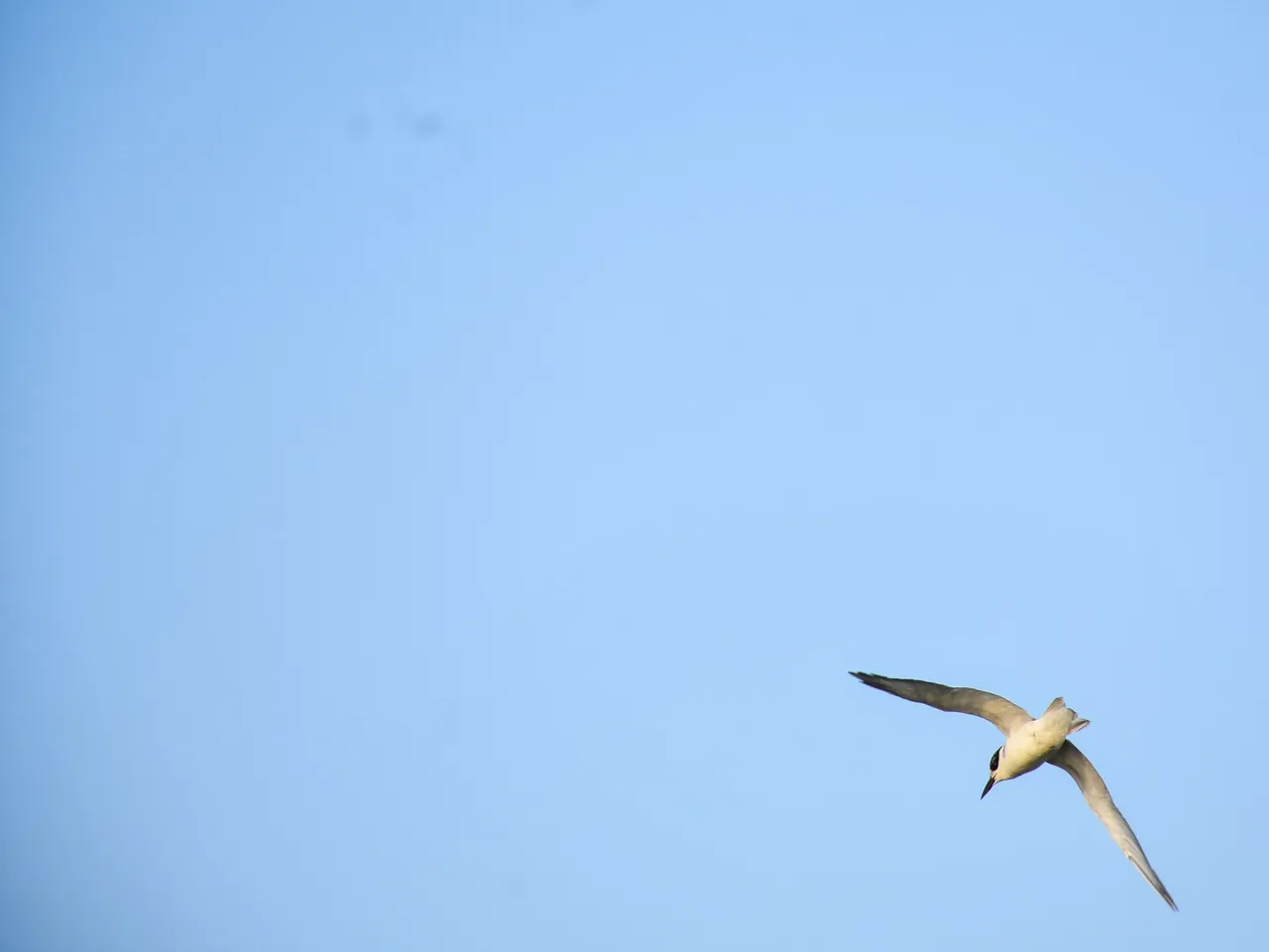 DSC_6737.jpg