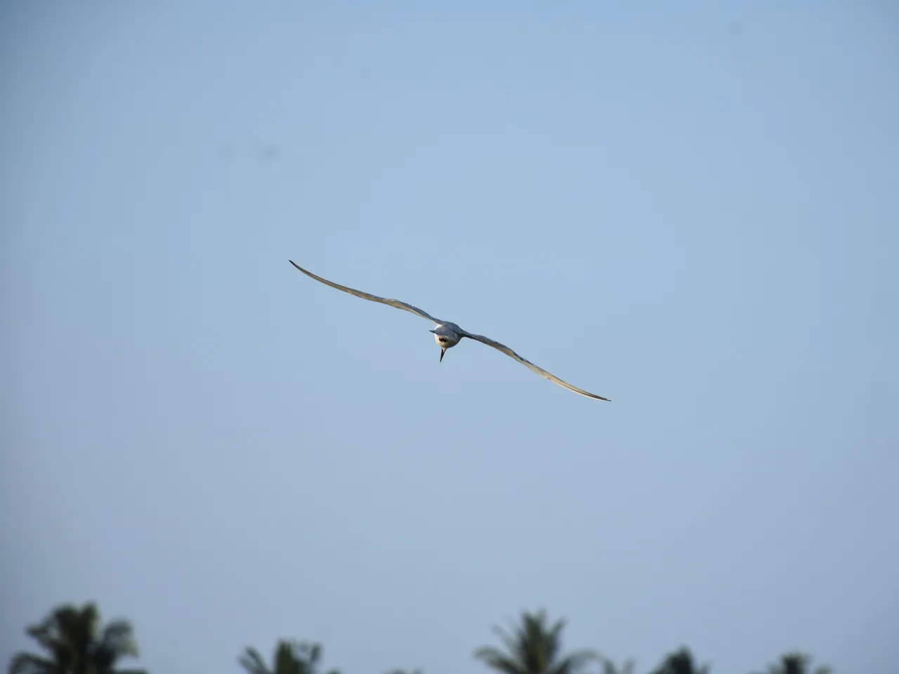 DSC_6700.jpg