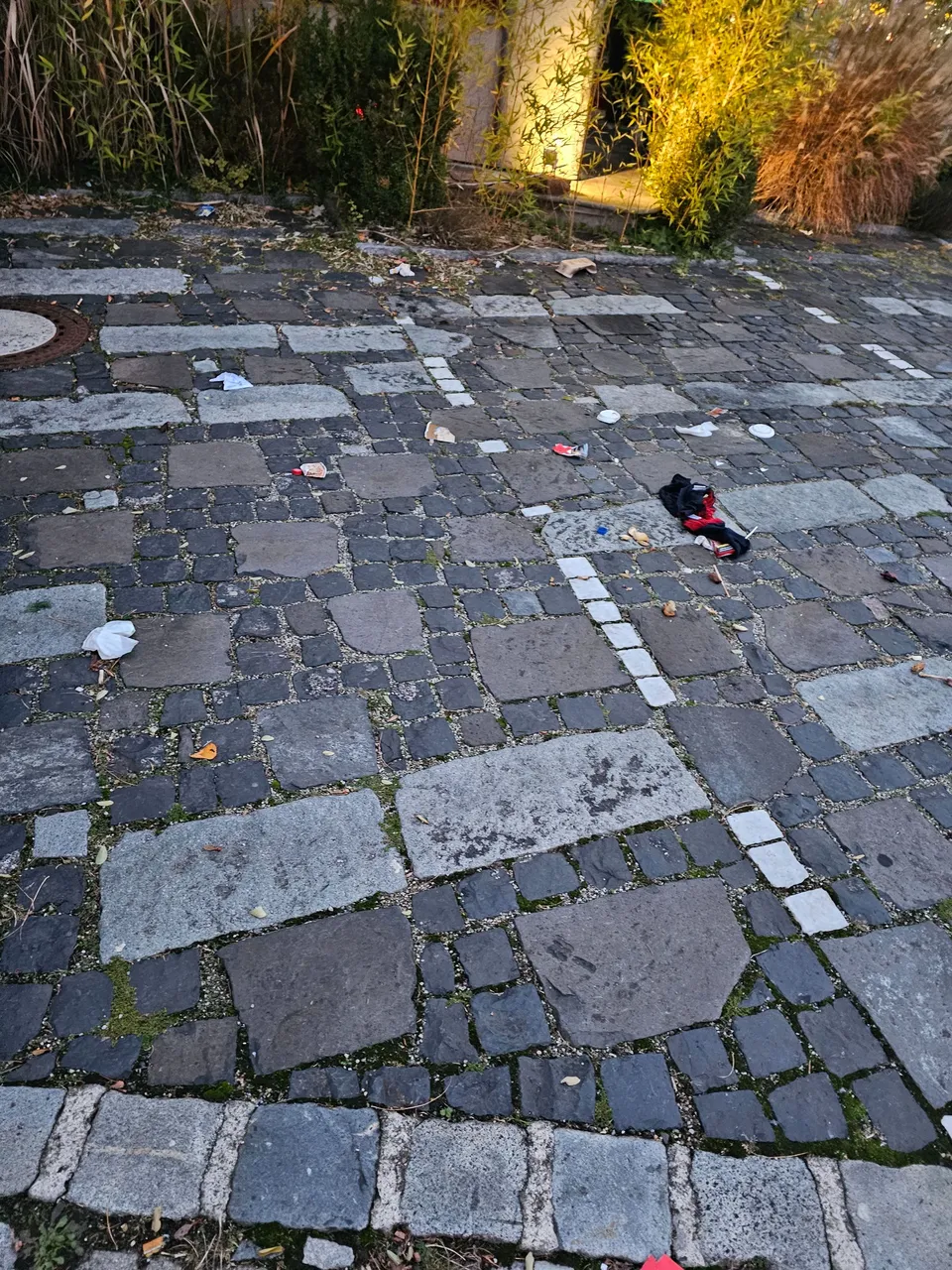 20231110_165700.jpg