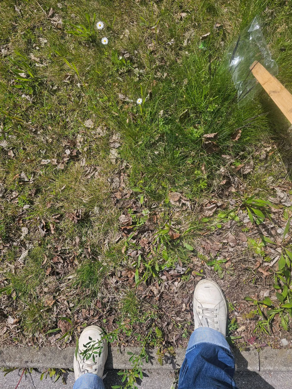 20240426_140109.jpg