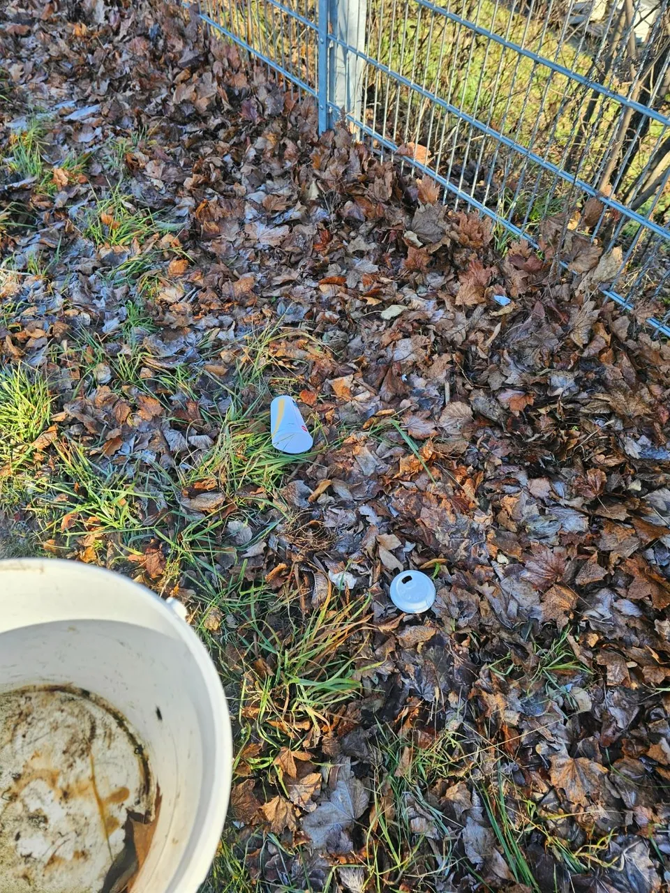 20231219_101754.jpg