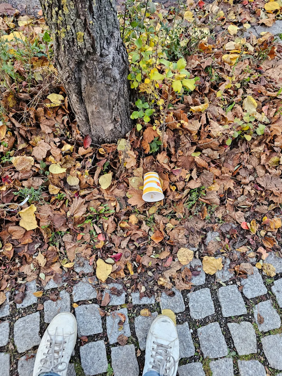 20231120_154637.jpg