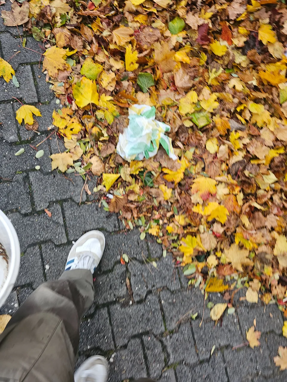 20231105_153100.jpg