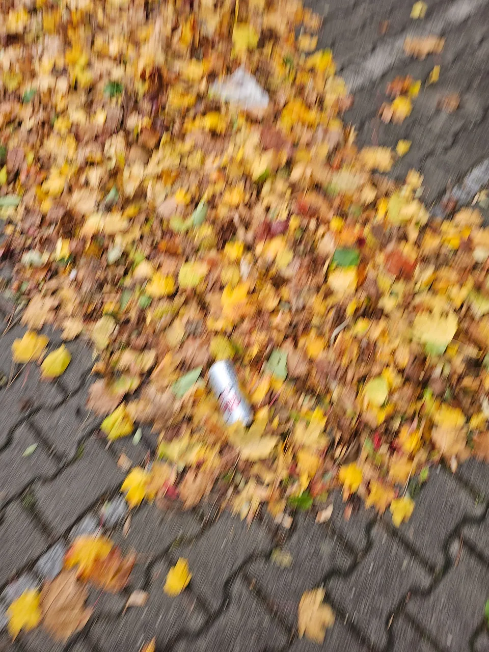 20231105_153215.jpg