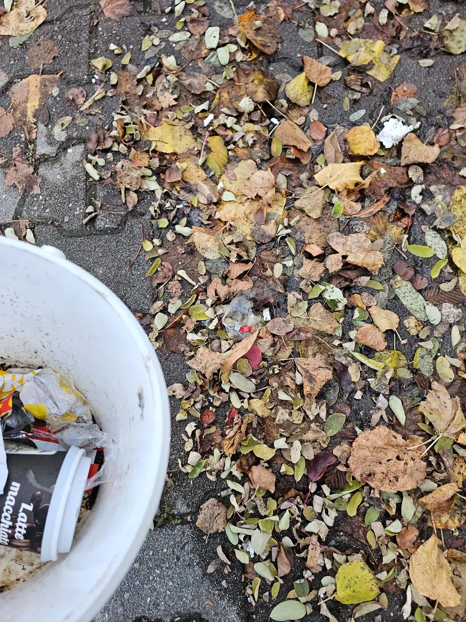 20231120_154613.jpg