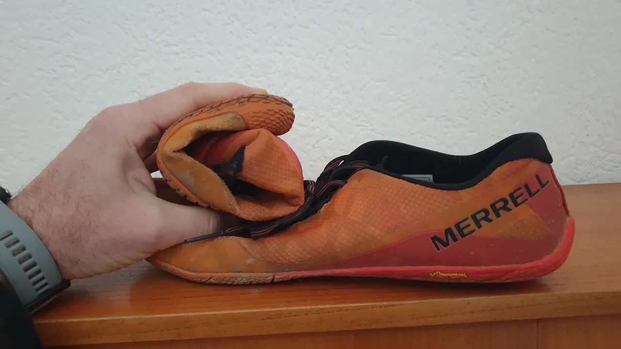 20220126_094910.jpg