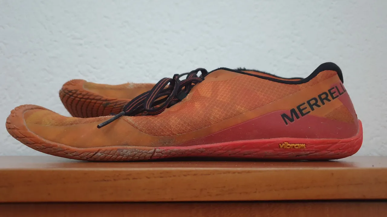 20220126_094846.jpg