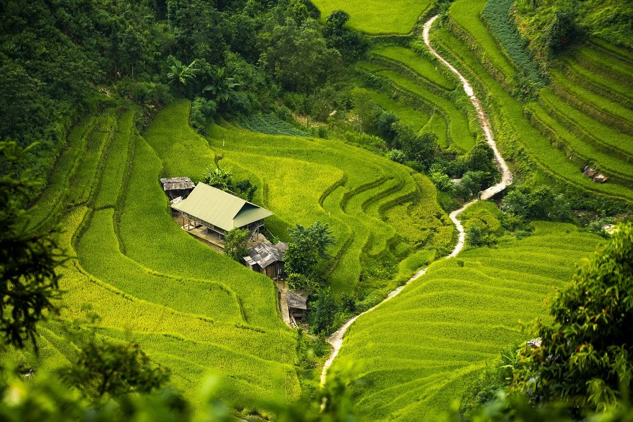 Photo.jpg