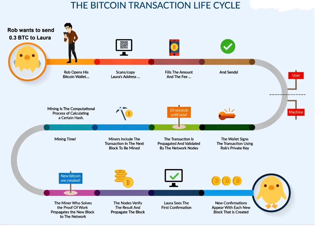 mempool-cycle-btc-transaction-2.png