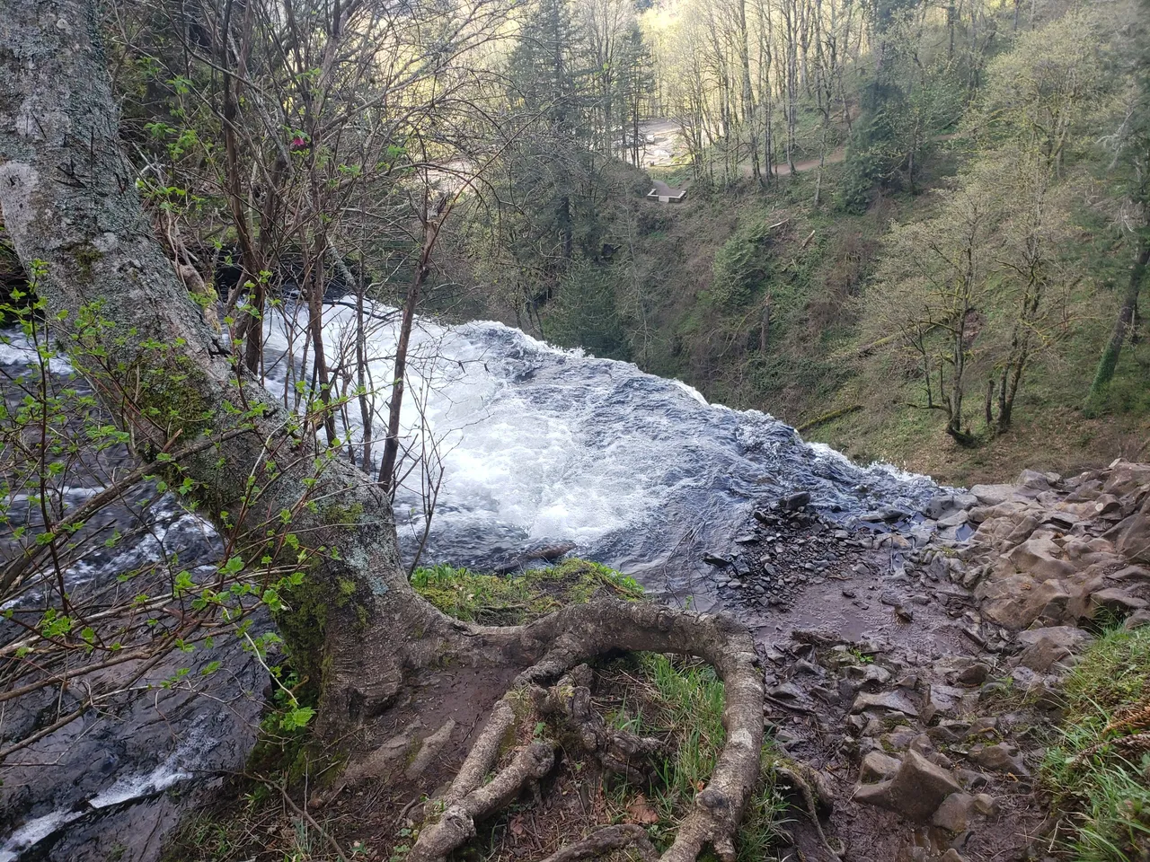 20220402_175521.jpg