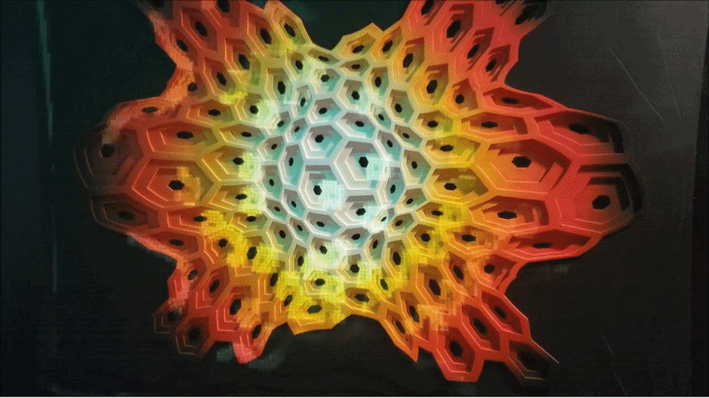 Trip1.gif