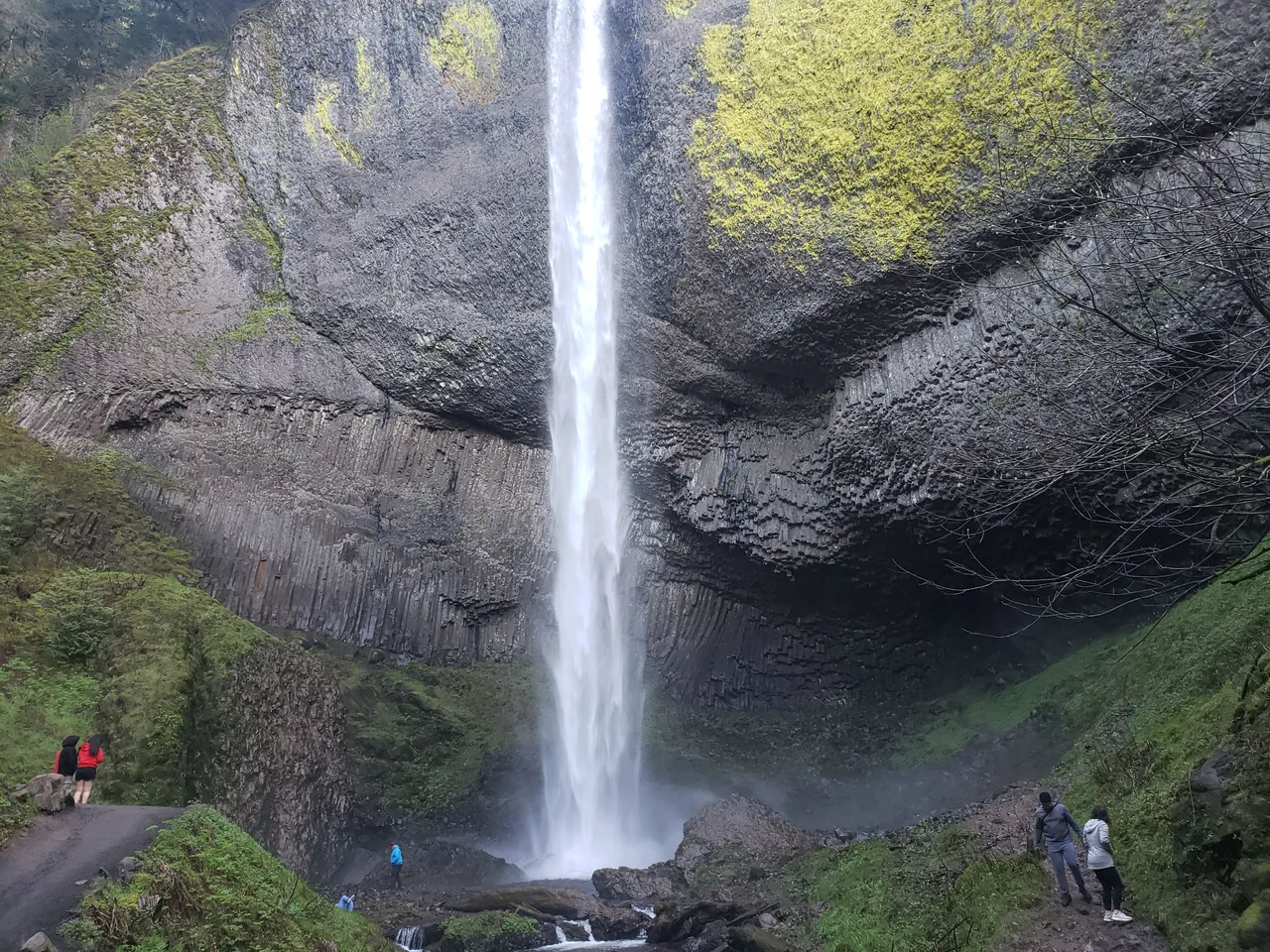 20220402_171248.jpg