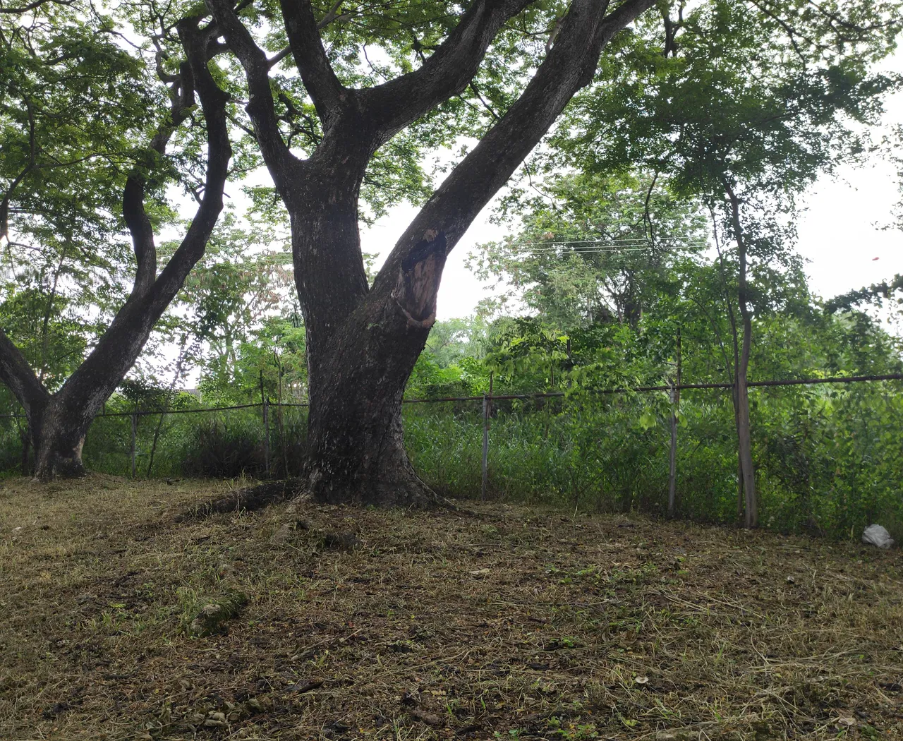 PANO_20220526_082339.jpg