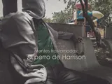 Mentes trastornadas, El perro de Harrison.png