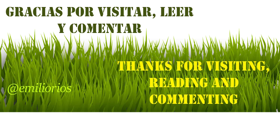 grass-2029768_960_720.png