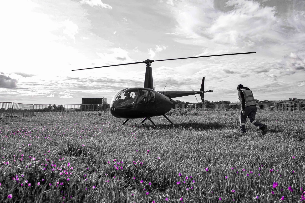 Flower Foreground Heli.jpg